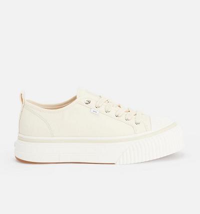 Tenis Ami Paris Low Top Ami 1980 Beige | ami_MX253