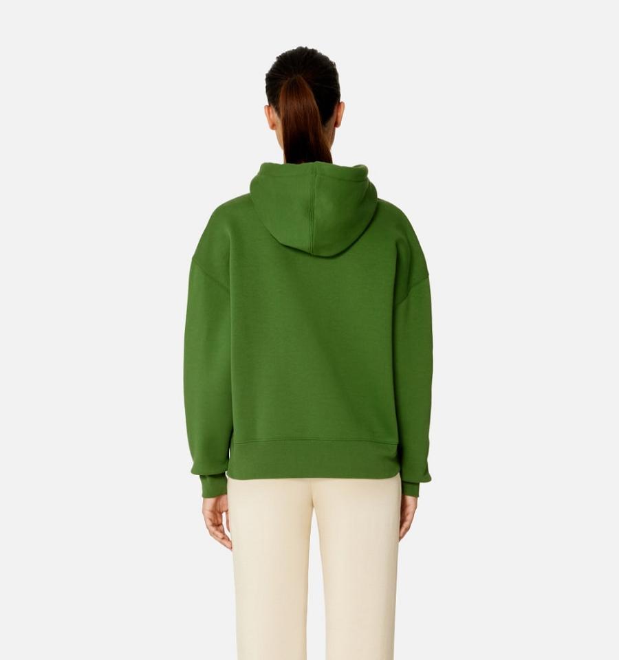 Sudadera Con Capucha Ami Paris Ami de Coeur Verdes | ami_MX386